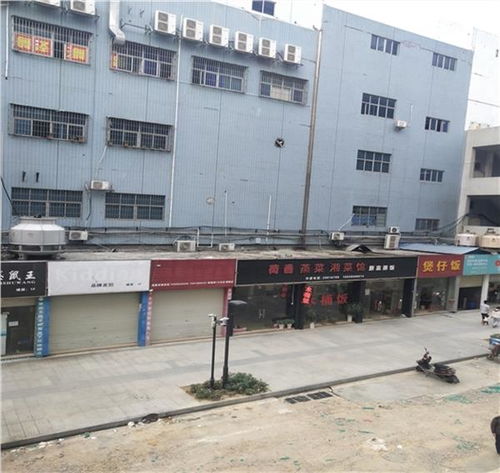 日照市工业厂房安全性检测 专业机构保障厂房验厂与人力资源服务协同发展